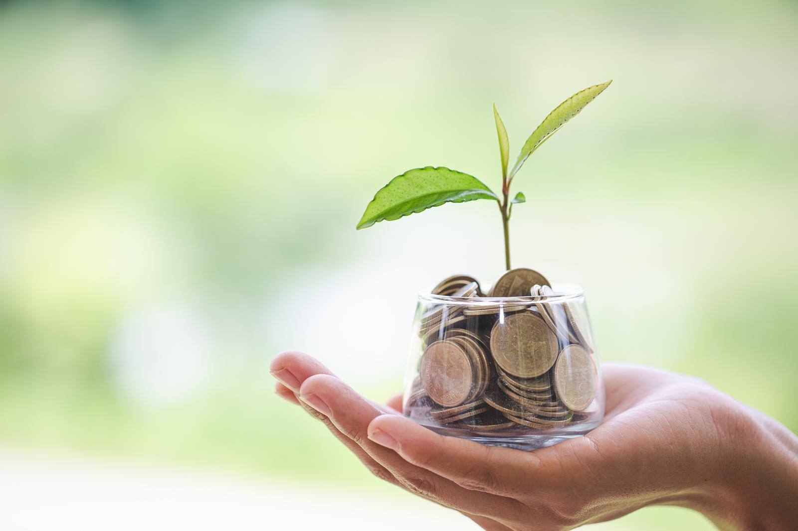 Hand holding a cup full of coins with a plant growing out of it