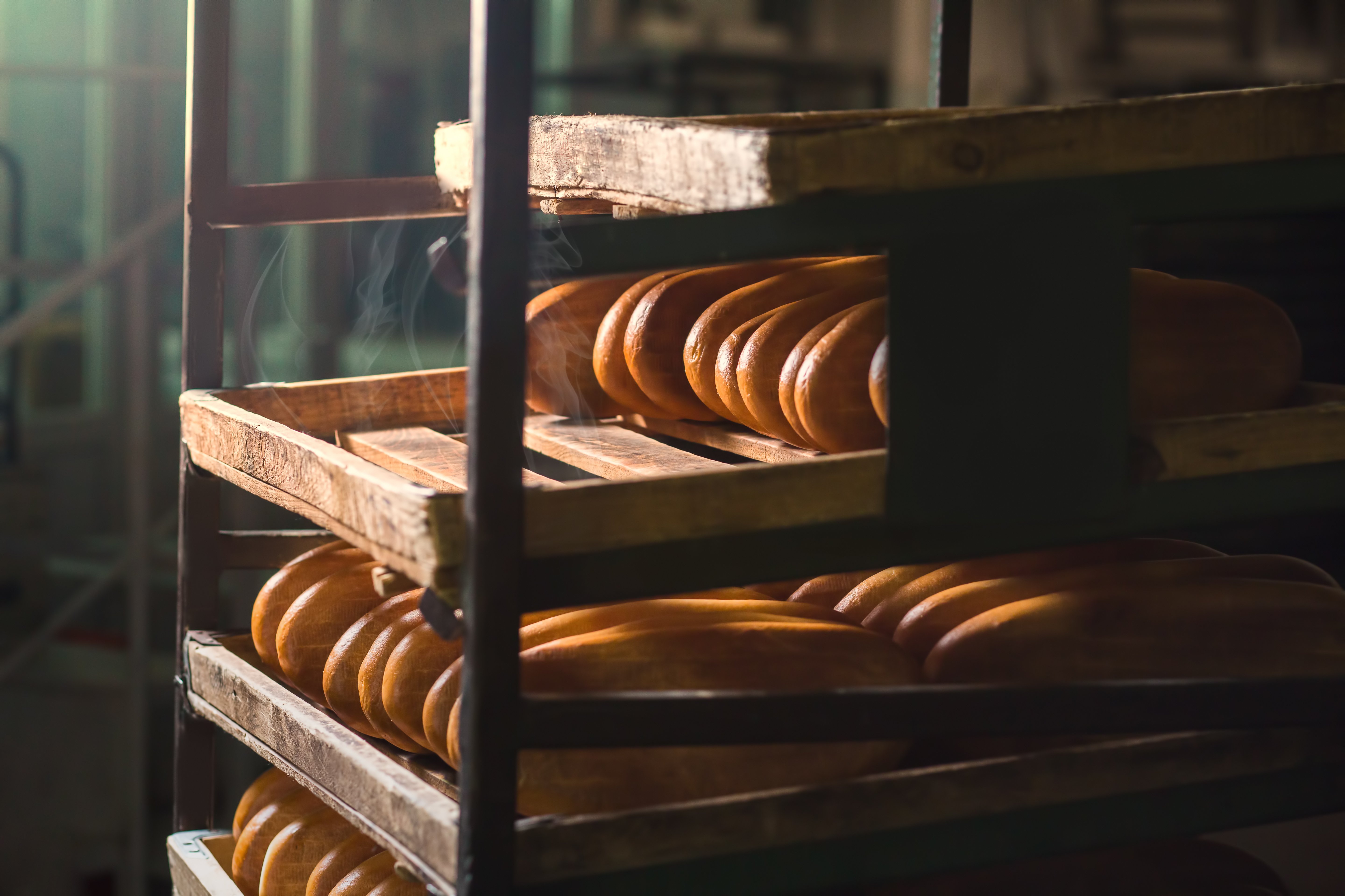 freshly-baked-bread-on-rack-pastry-products-at-ba-2024-09-19-05-52-52-utc