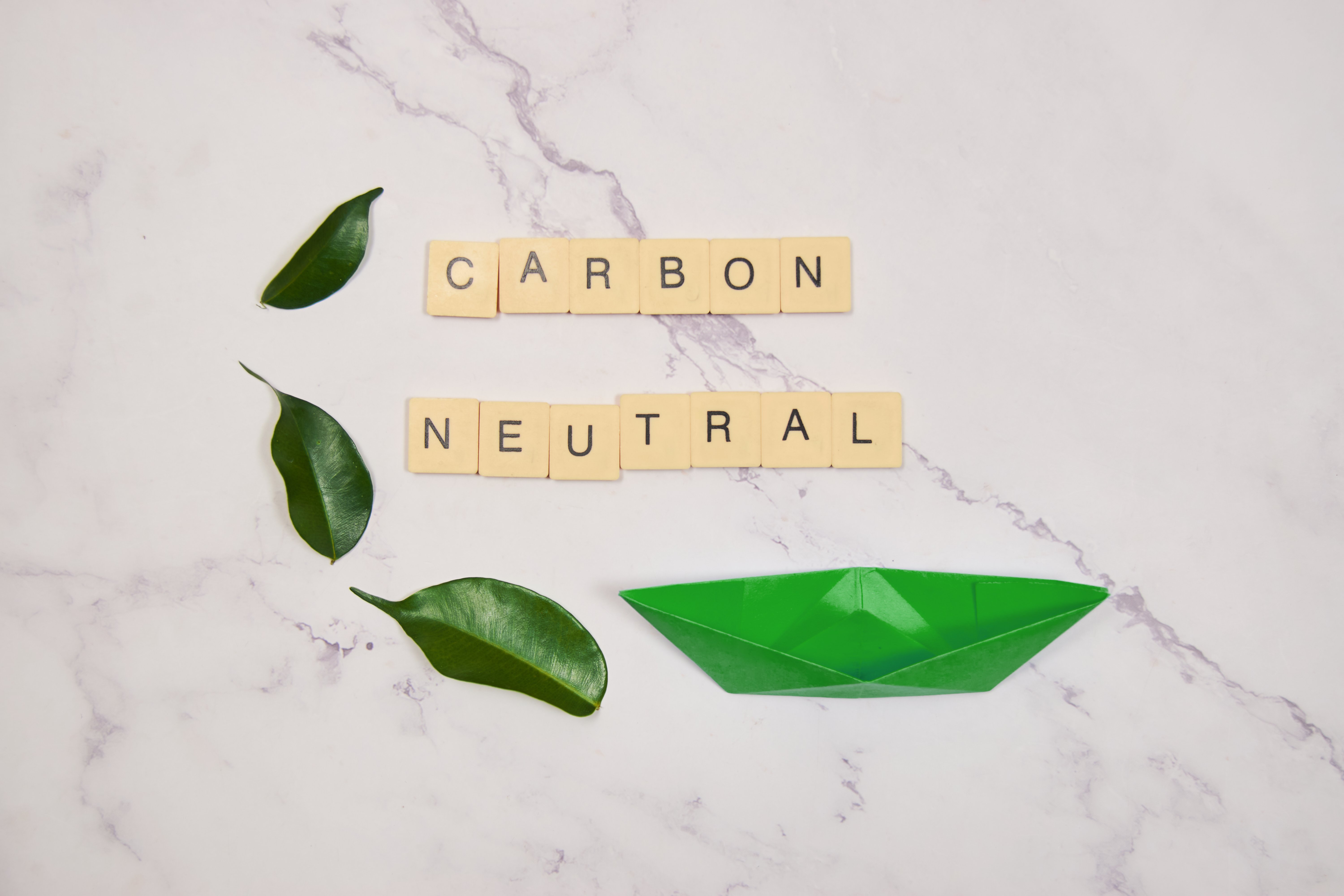 net-zero-and-carbon-neutral-concepts-net-zero-emis-2024-11-25-22-02-50-utc