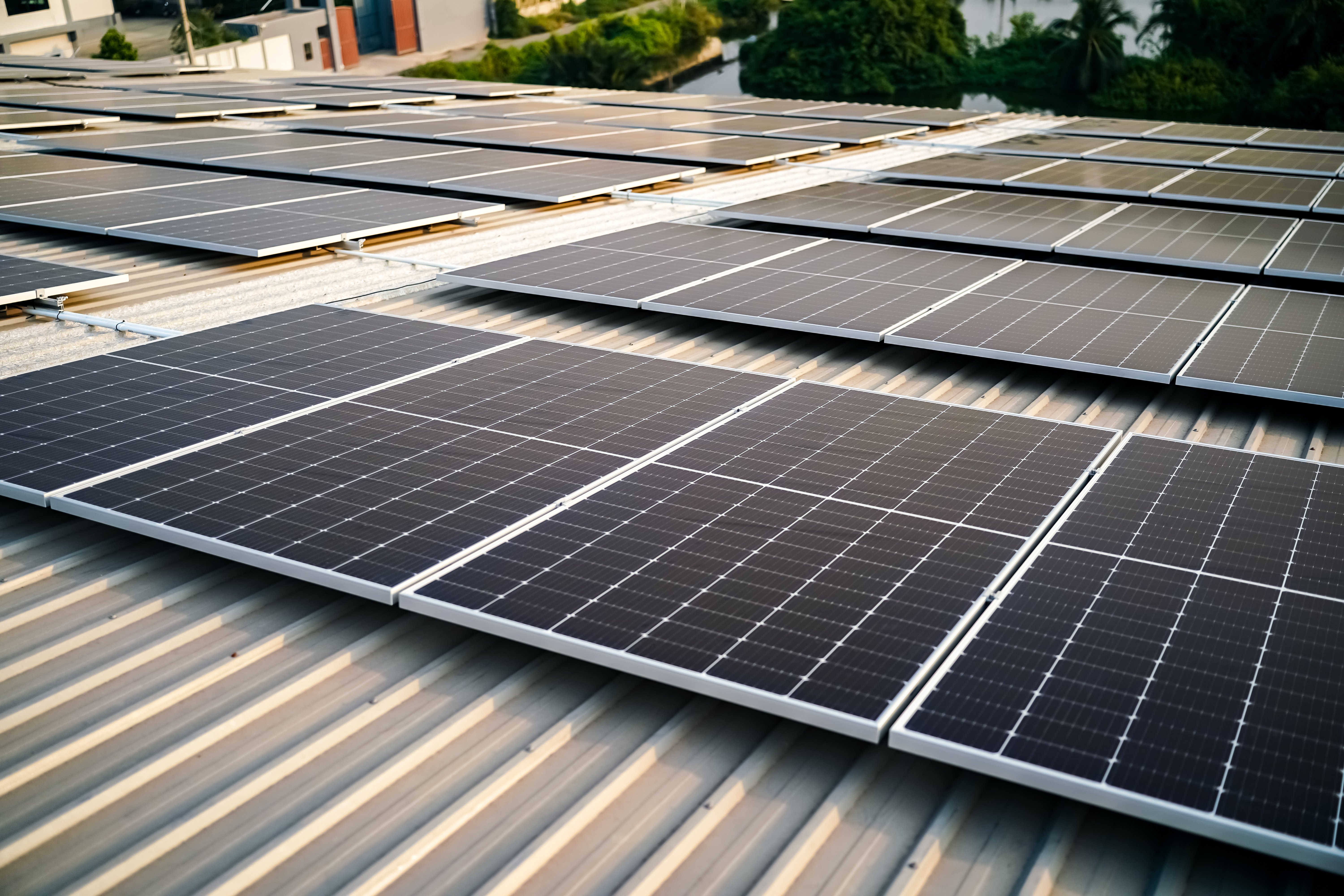 solar-panels-on-a-rooftop-2026-03-18-07-09-02-utc