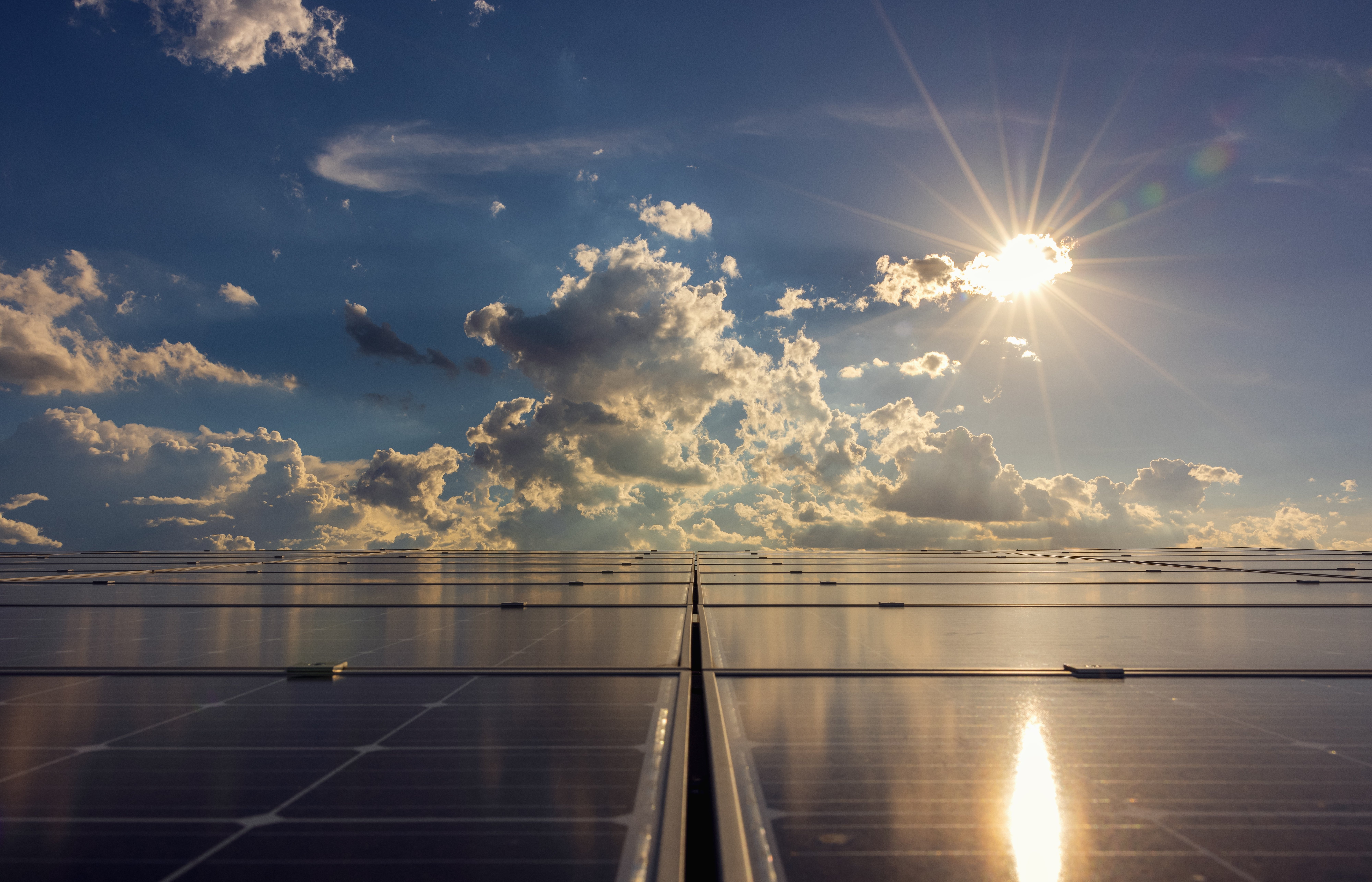 solar-panels-on-the-roof-of-a-building-grouping-o-2024-12-02-04-07-05-utc