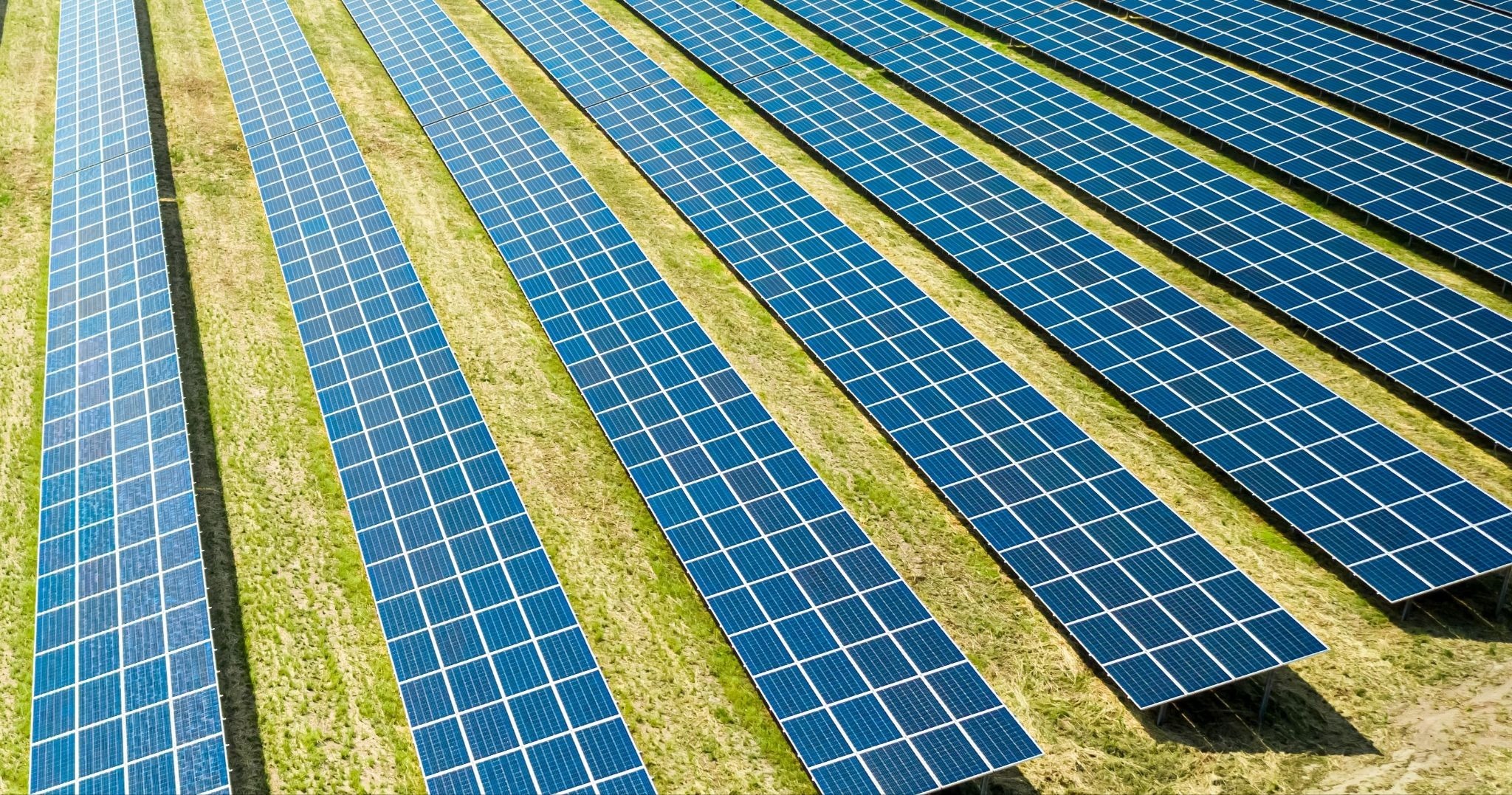 undefined-Nov-28-2025-12-23-03-0916-AM